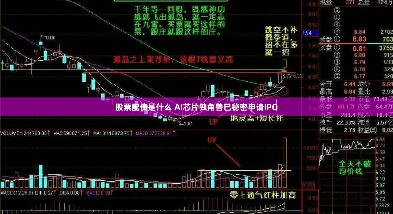 股票配债是什么 AI芯片独角兽已秘密申请IPO