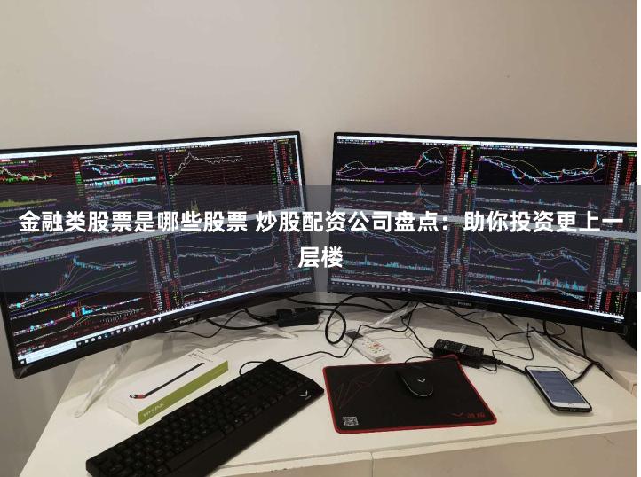 金融类股票是哪些股票 炒股配资公司盘点：助你投资更上一层楼