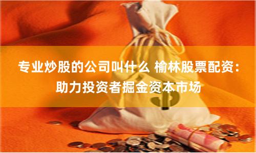 专业炒股的公司叫什么 榆林股票配资：助力投资者掘金资本市场